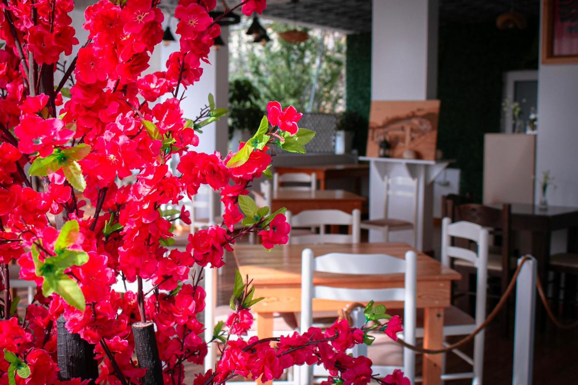 Hotel Fron Saranda Extérieur photo